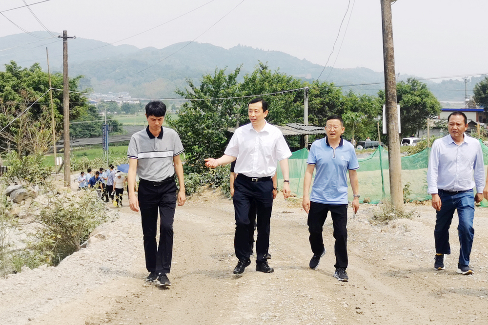 1651325248866918.jpg 農(nóng)飲項目 (2).jpg